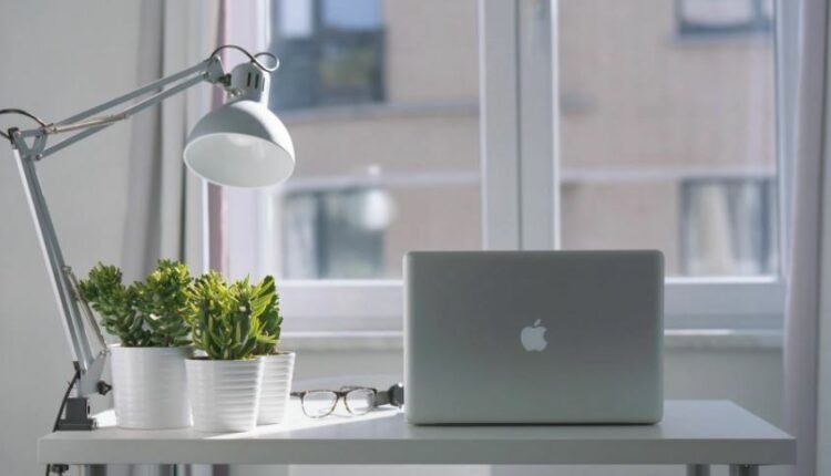 Best Indoor Air Purifying Plants Name for Bedroom and Bathroom