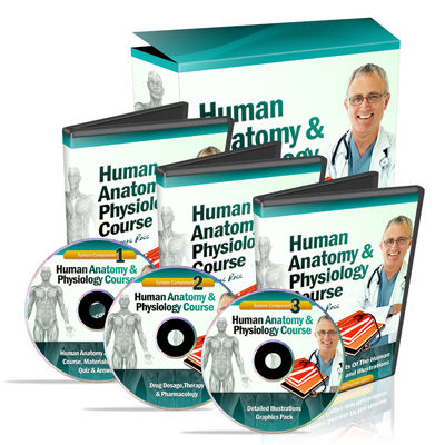 The Ultimate Home Study Course On Human Anatomy & Physiology
